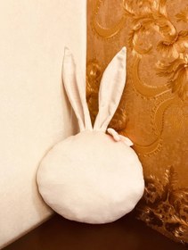 تصویر کوسن خرگوش 