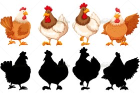 تصویر وکتور مرغ و خروس 