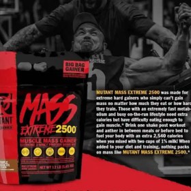 تصویر مس موتانت 2500 Mutant Mass 2500