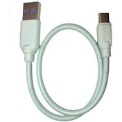 تصویر کابل تبدیل USB به USB-C پی نت مدل PT.201 طول Power Bank Cable PT.201 P-Net