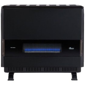 تصویر بخاری گازی ایران شرق مدل FR170 ظرفیت ۱۷ هزار دودکش دار 