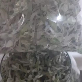 تصویر پونه ی کوهی تازه 