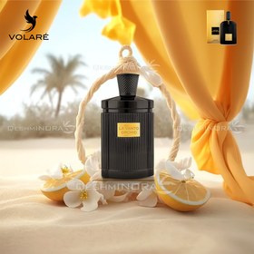 تصویر ادکلن لا ونتو ارکید ولار La Vanto Orchid Volare (تام فورد بلک ارکید Tom Ford Black Orchid) 