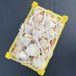 تصویر سیر خشک همدان دو کیلویی خالص 