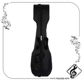 تصویر سافت کیس تار 