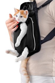 تصویر آغوشی سگ و گربه 