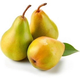 تصویر گلابی 