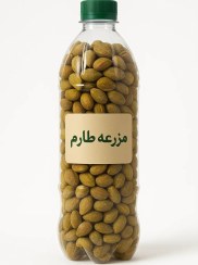 تصویر ترشی پسته کوهی کاپاریس 100% اورگانیک 