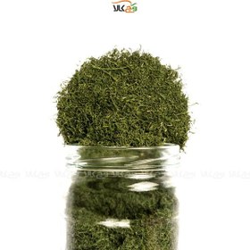 تصویر شوید خشک - 200 گرم - وگان 