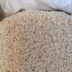 تصویر برنج میانه( ممان) 
