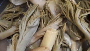 تصویر فروشگاه م پ فود