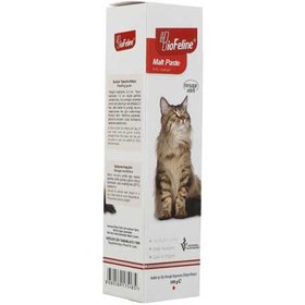 تصویر خمیر مالت آنتی هیربال بیوفلاین گربه 100 گرم Malt Paste Anti-Hairball Support