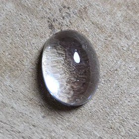 تصویر دُر نجف اصل دامله 