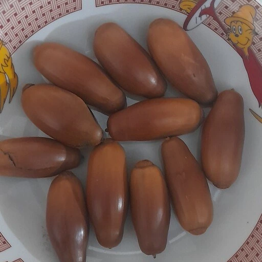 خرید و قیمت میوه بلوط جنگلی 400 گرمی | ترب