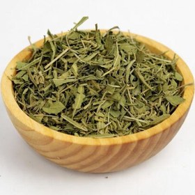 تصویر مریم گلی 