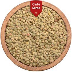 تصویر عدس درشت روس 