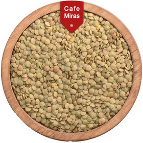 تصویر عدس درشت روس 