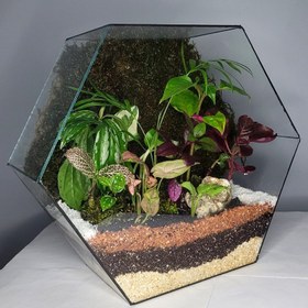 تصویر تراریوم مدل کندو 