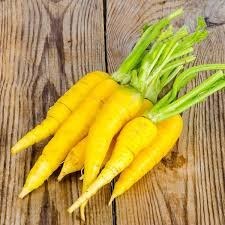 تصویر هویج زردک 