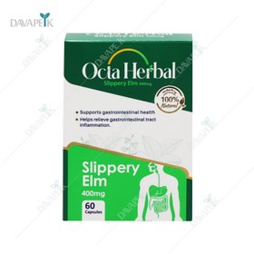 تصویر اکتاهربال (سلامت گوارش) فاران شیمی 60 کپسول Octa Herbal Faran Shimi 60 caps