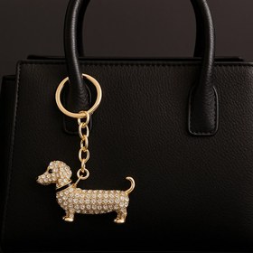 تصویر جاسوییچی کد 16 