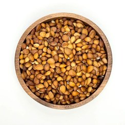 تصویر مغز هسته زردآلو خیس نمکی 