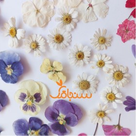 تصویر پک ۱۰۰ عددی گل خشک درجه ۲ 