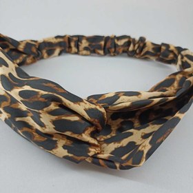 تصویر تل کشی پلنکی 