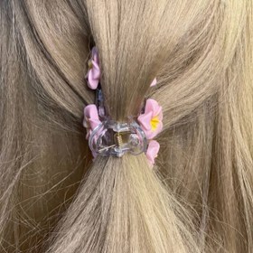 تصویر کلیپس شفاف گل پلومریا 