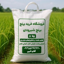 تصویر برنج شیرودی اعلا ۵ کیلوگرم 