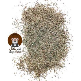 تصویر رازیانه 