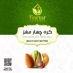 تصویر کره چهار مغز 