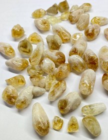 تصویر تامبل سیترین آفریقایی 