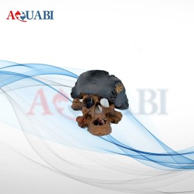 تصویر مجسمه آکواریوم جمجمه A-201 