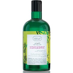 تصویر شامپو بدن بامبو مناسب پوست چرب مختلط دیپ سنس TEA TREE AND BAMBOO BODY WASH OILY SKIN DEEP SENSE 