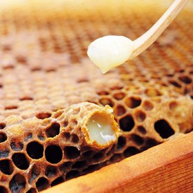 تصویر ژل رویال مالزی 