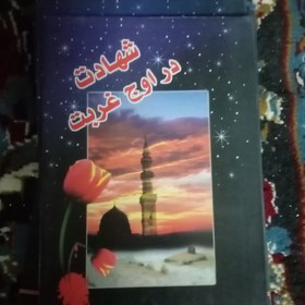 تصویر شهادت در اوج غربت 