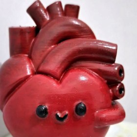 تصویر قلب آناتومیک کیوت 