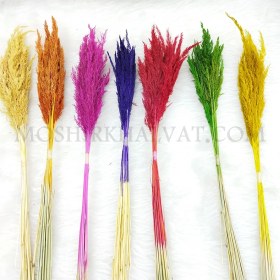 تصویر گل خشک مدل قمیش 