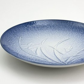 تصویر دیس آریتا 