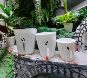 تصویر گلدان هیدروپونیک سایز ۹ 