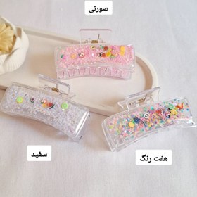 تصویر کلیپس آکواریومی 