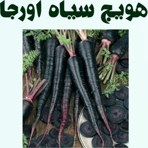 تصویر فروشگاه باغبان ارگانیک