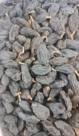 تصویر مویز دمدار 