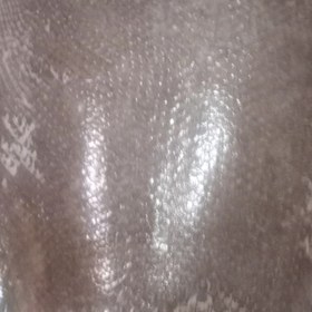 تصویر ماهی کفشک 