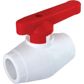 تصویر شیر تک ضرب 20 آذین 