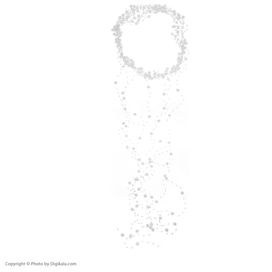 تصویر ریسه مو زنانه کد rt9 