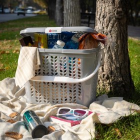 تصویر سبد پیک نیک الینا بلند رنگی 