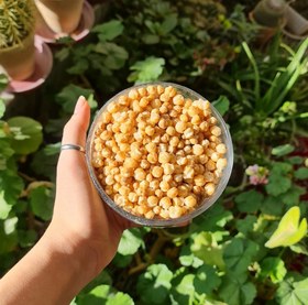 تصویر گندم بو داده 