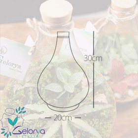 تصویر تراریوم پوپک VIP 